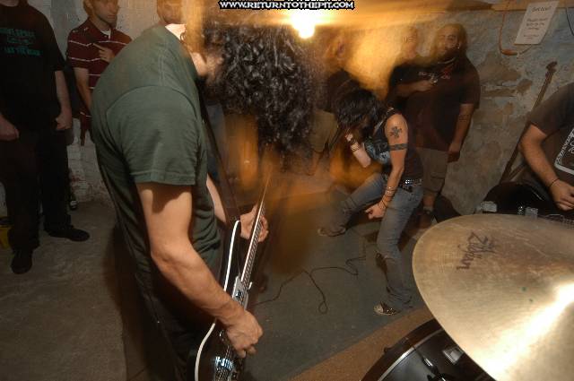 [flowers in the attic on Aug 24, 2005 at the Library (Allston, Ma)]